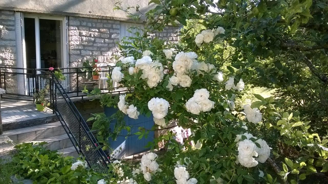 Au Domaine Des Oiseaux Bed & Breakfast Montredon  Luaran gambar