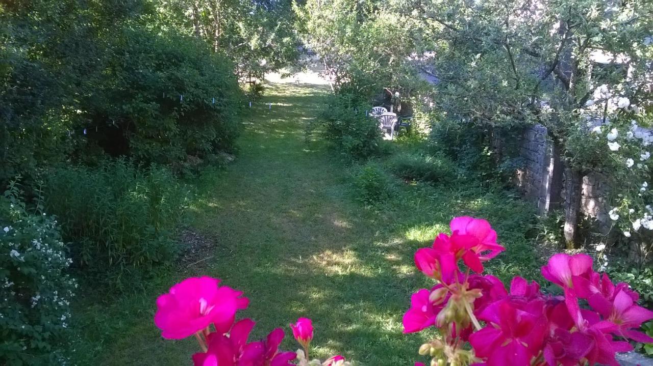 Au Domaine Des Oiseaux Bed & Breakfast Montredon  Luaran gambar