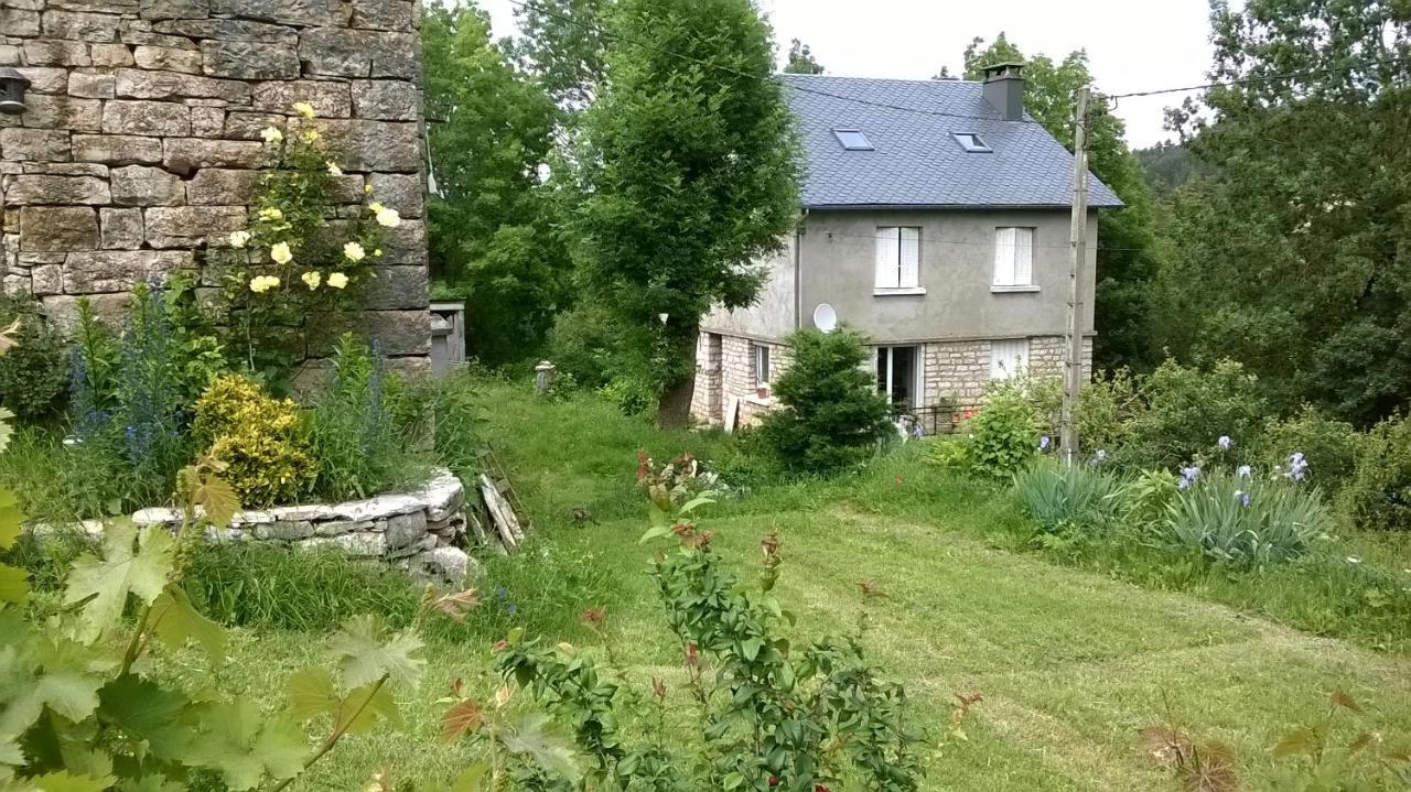 Au Domaine Des Oiseaux Bed & Breakfast Montredon  Luaran gambar