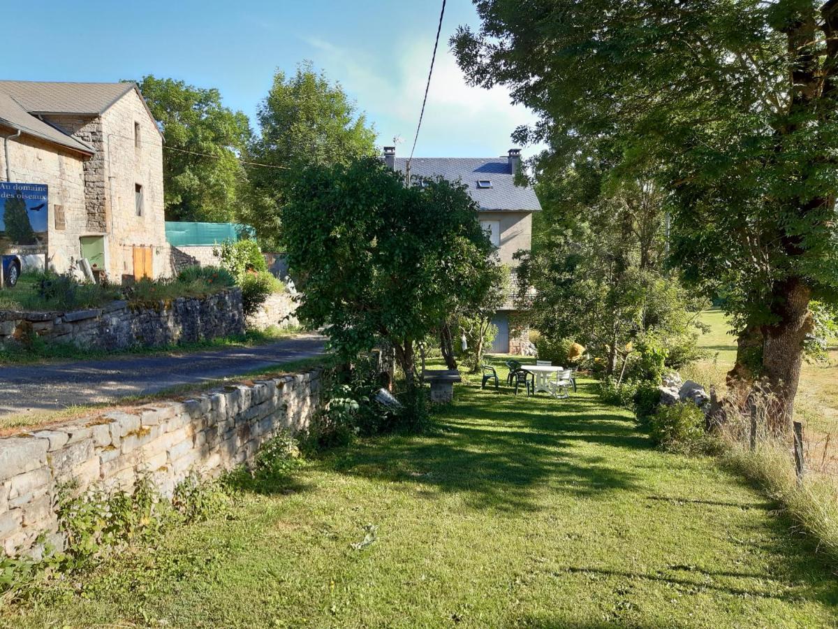 Au Domaine Des Oiseaux Bed & Breakfast Montredon  Luaran gambar