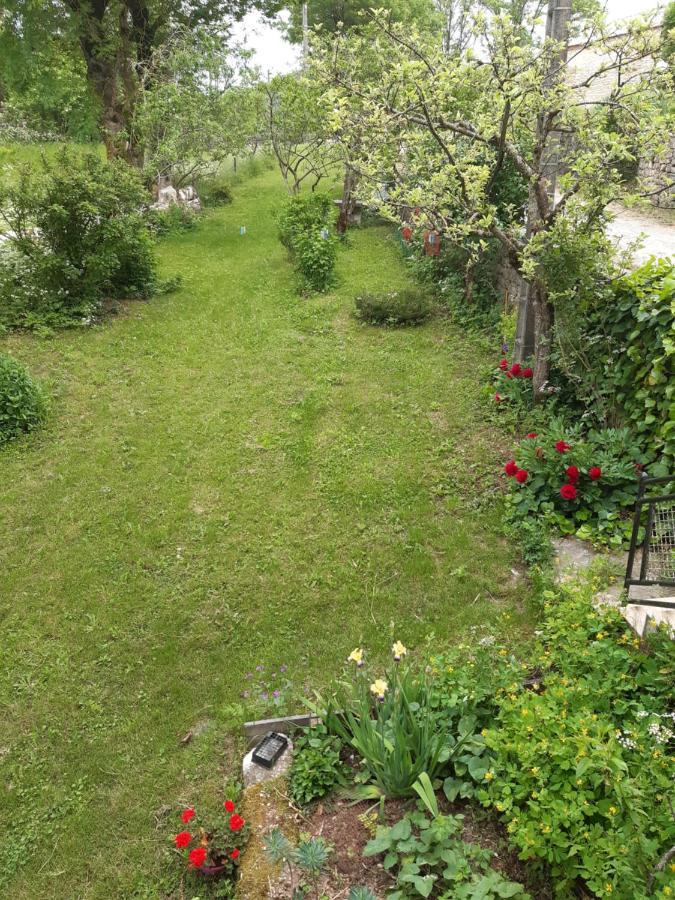 Au Domaine Des Oiseaux Bed & Breakfast Montredon  Luaran gambar